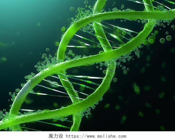 生物科技绿色叶子DNA分子